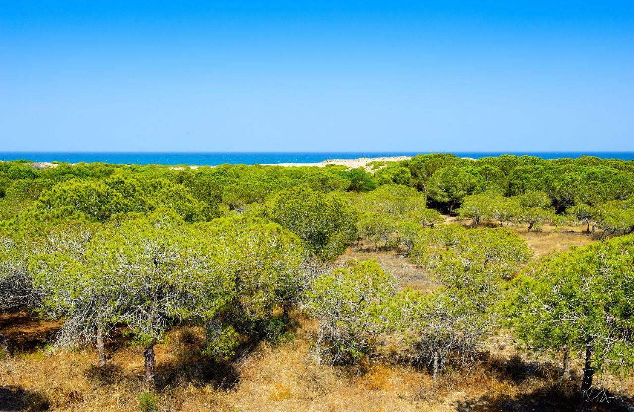 Luxury Pinada Beach لا ماتا المظهر الخارجي الصورة